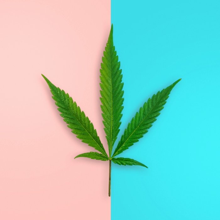 Is HEMP seed oil good for the skin? - Skin Artisan